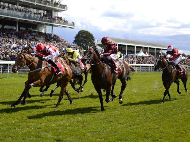 There is high-class Flat racing from York on Friday